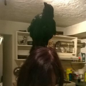 Meet your Posher, Nora